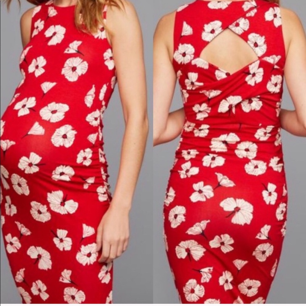 Maternity Dress Poppy